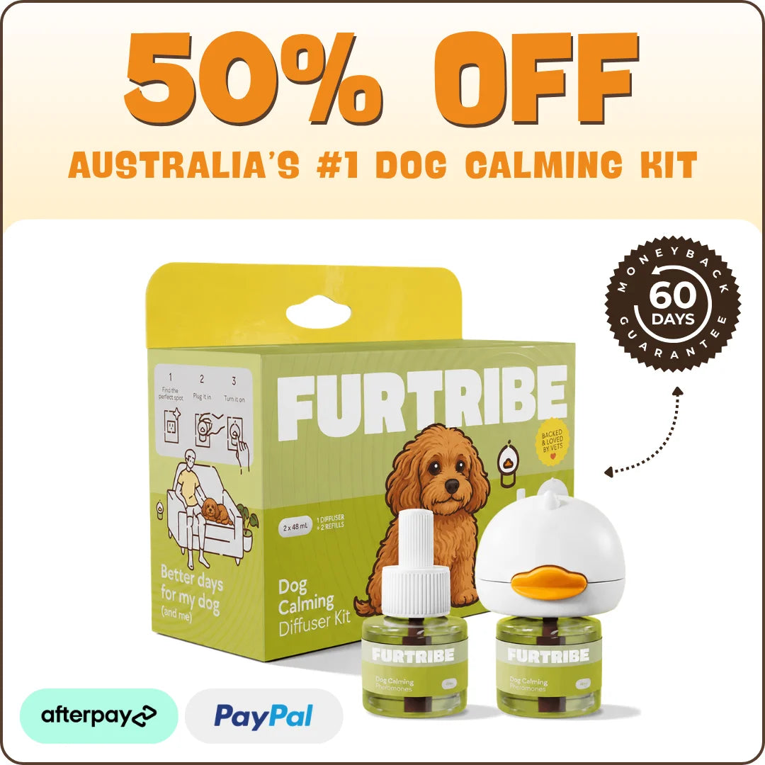 Dog Calming Diffuser Kit