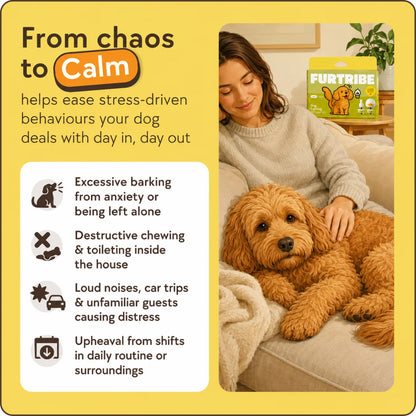 Dog Calming Diffuser Kit