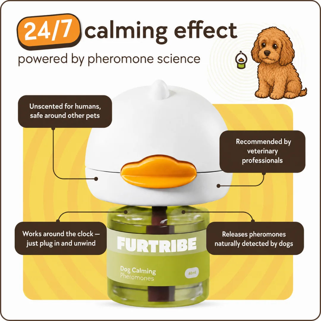 Dog Calming Diffuser Kit