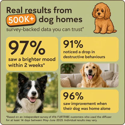 Dog Calming Diffuser Kit