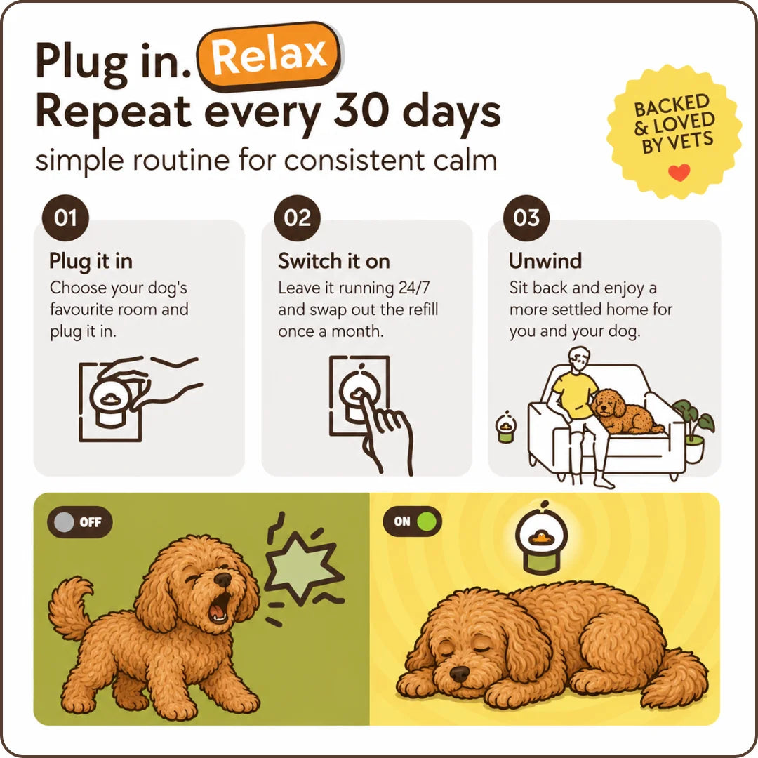 Dog Calming Diffuser Kit
