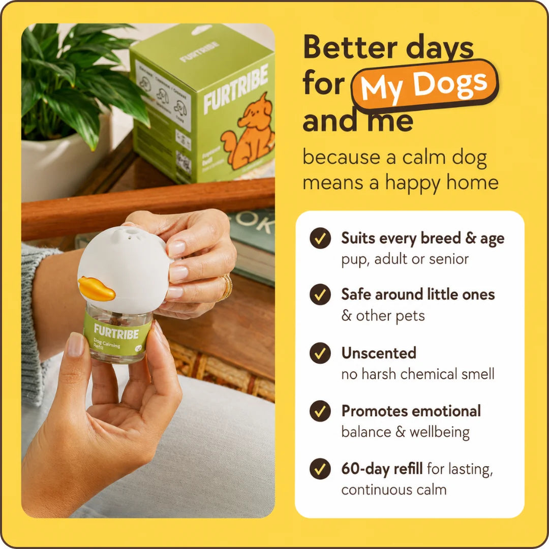 Dog Calming Diffuser Kit