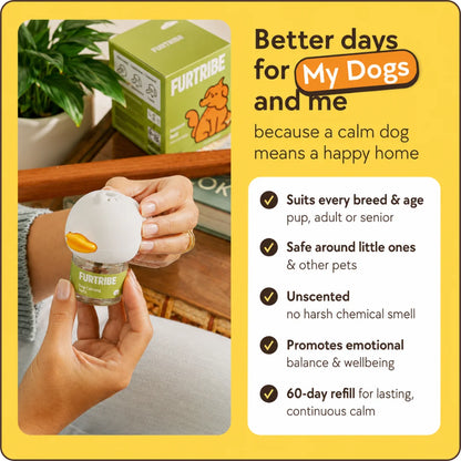 Dog Calming Diffuser Kit