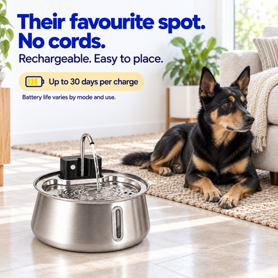 Filtered Pet Fountain
